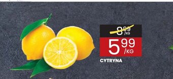 Wafelek Cytryna 1kg oferta