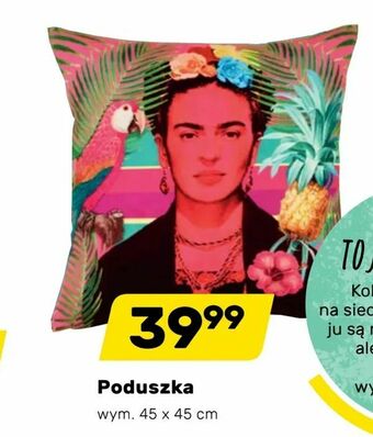 Bricomarche Poduszka oferta