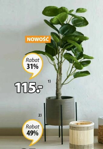 JYSK Roślina sztuczna arvid oferta