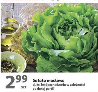 Auchan Sałata masłowa oferta