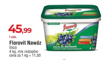 E.Leclerc Nawóz do borówek florovit oferta