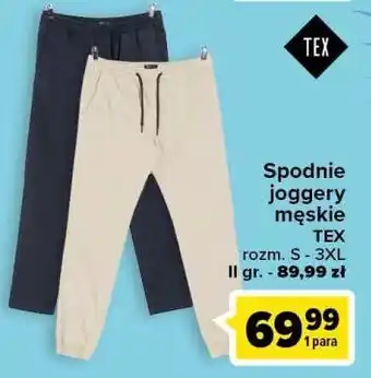 Joggery męskie gr. ii tex