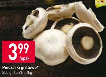 Stokrotka Pieczarki oferta