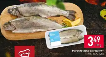 Stokrotka Pstrąg tęczowy oferta