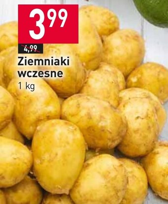 Stokrotka Ziemniaki oferta