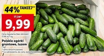 Lidl Polskie ogórki gruntowe, luzem 1kg oferta
