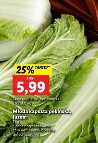 Lidl Młoda kapusta pekińska, luzem 1kg oferta