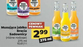 Netto Musujące jabłko Bracia Sadownicy oferta