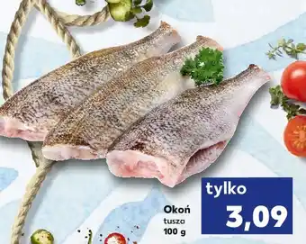 Kaufland Okoń tusza oferta