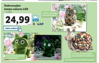 Lidl Lampa solarna led ślimak oferta