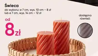 Pepco Świeca wys. 10 cm oferta