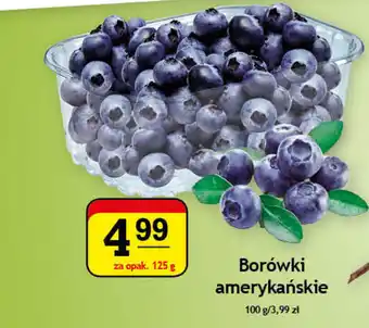 Borówki amerykańskie 125g