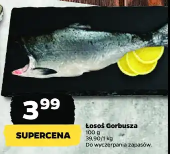 Netto Łosoś pacyficzny gorbusza oferta
