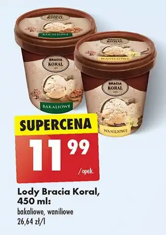 Netto Lody waniliowe oferta