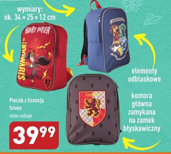 ALDI Plecak z licencją Sztuka oferta
