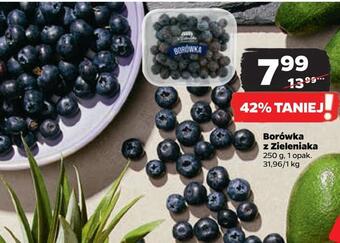 Netto Borówka z zieleniaka oferta