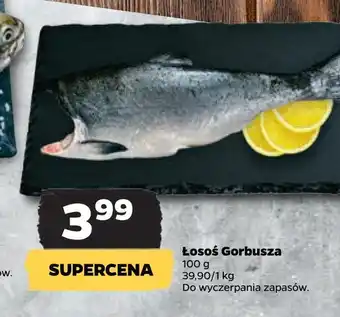 Netto Łosoś gorbusza oferta