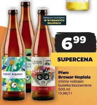 Netto Piwo browar hoplala oferta