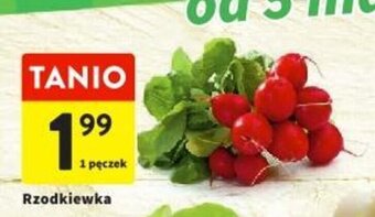 Intermarche Rzodkiewka 1 pęczek oferta