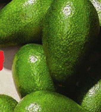 Netto Awokado oferta