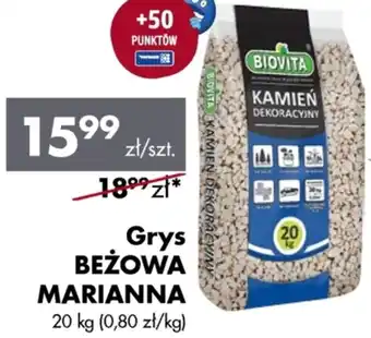 Mrówka Kamień dekoracyjny biovita oferta