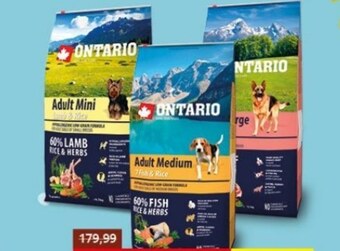 Kakadu Karma dla psa ontario oferta