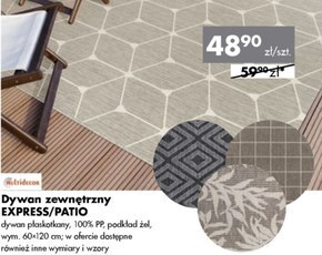 Mrówka Dywan oferta