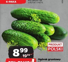 Netto Ogórek oferta