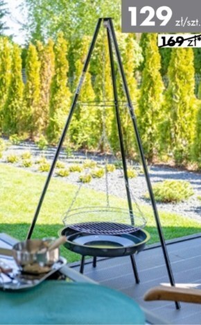 Mrówka Grill oferta