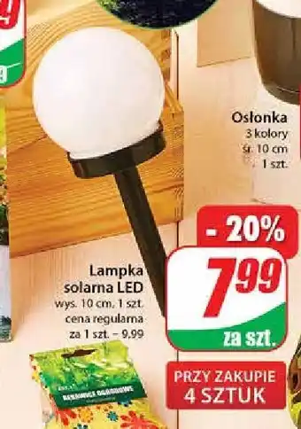 Dino Lampa solarna śr. 10 cm oferta