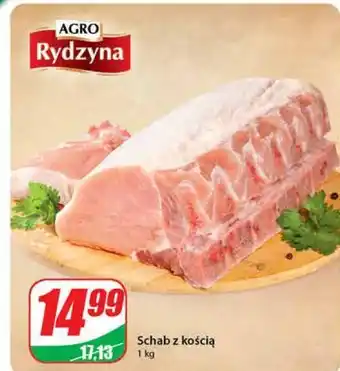 Dino Schab z kością agro rydzyna oferta