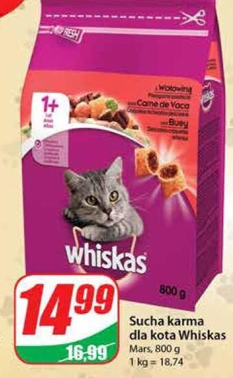 Dino Karma dla kota z wołowiną whiskas oferta