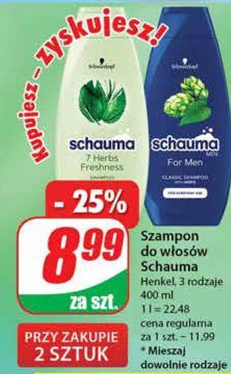 Dino Szampon do włosów schauma for men oferta