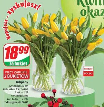 Dino Tulipany 35 cm oferta