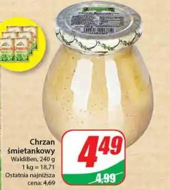 Dino Chrzan śmietankowy waldiben oferta