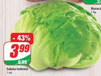 Dino Sałata lodowa oferta