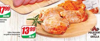 Dino Udo z kurczaka grill agro rydzyna oferta