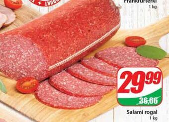 Dino Salami agro rydzyna oferta