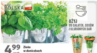 Auchan Bazylia baziółka oferta
