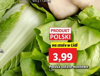 Lidl Sałata masłowa oferta