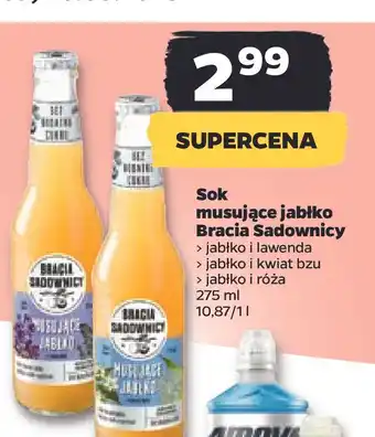 Netto Napój musujące jabłko i róża bracia sadownicy oferta