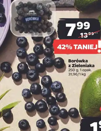 Netto Borówki amerykańskie oferta