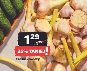 Netto Czosnek oferta