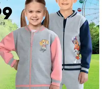 Biedronka Psi Patrol Bluza typu college oferta