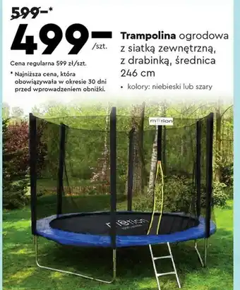 Biedronka Trampolina ogrodowa z siatką zewnętrzną, z drabinką, średnica 246 cm oferta