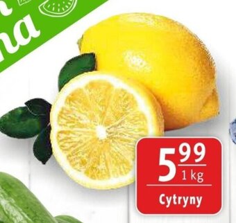 Prim Market Cytryny 1 kg oferta