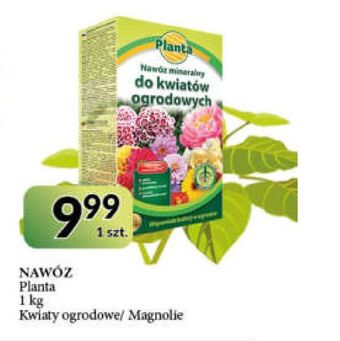E.Leclerc Nawóz do kwiatów ogrodowych planta (ogrodowe) oferta