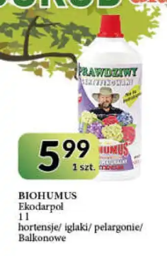 E.Leclerc Nawóz do hortensji biohumus oferta