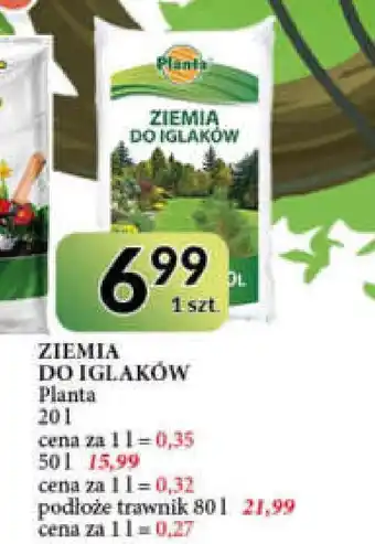 E.Leclerc Ziemia do iglaków planta (ogrodowe) oferta