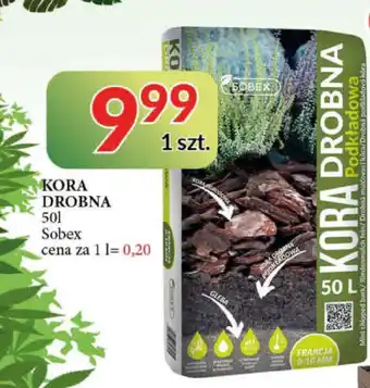 E.Leclerc Kora drobna podkładowa sobex oferta